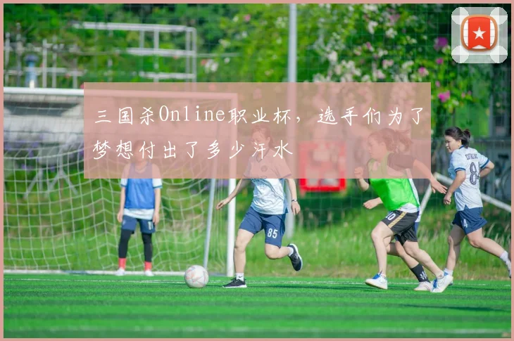 三国杀Online职业杯，选手们为了梦想付出了多少汗水