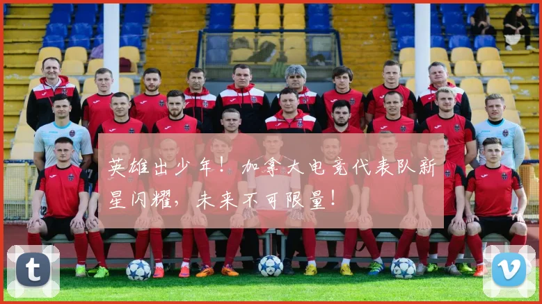 英雄出少年！加拿大电竞代表队新星闪耀，未来不可限量！