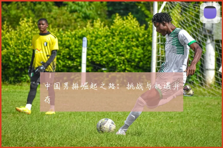 中国男排崛起之路：挑战与机遇并存